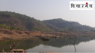 save hasdeo forest