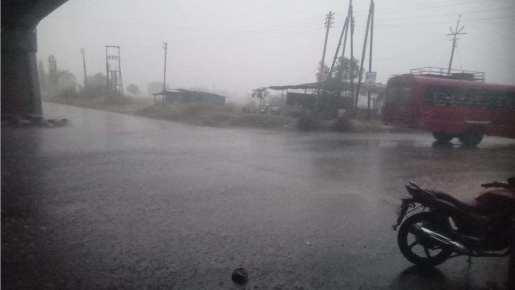 akola unseasonal rain marathi news akola unseasonal rain marathi news