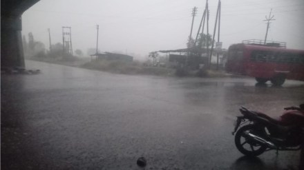 akola unseasonal rain marathi news