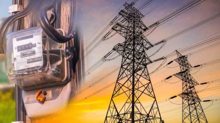 maharashtra state electricity workers federation marathi news