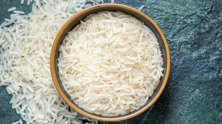 basmati rice export marathi news, basmati rice 48 thousand crores export marathi news,