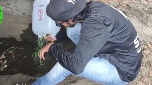 environmentalist initiative to fill dry water bodies for wildlife