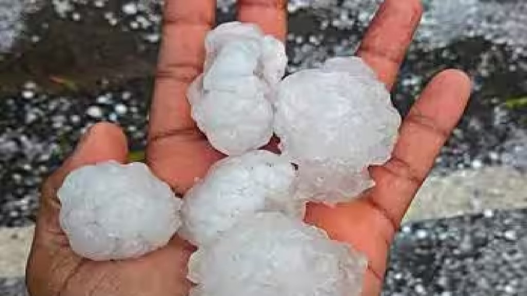Two more days of hailstrome in Vidarbha Pune news Two more days of hailstrome in Vidarbha Pune news