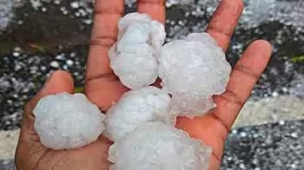 Two more days of hailstrome in Vidarbha Pune news Two more days of hailstrome in Vidarbha Pune news