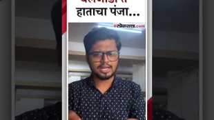 know history of indian national congress symbols