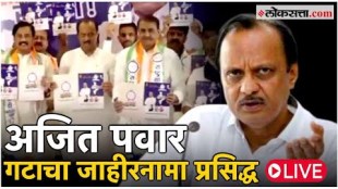 Manifesto released by Ajit Pawar Live loksabha election