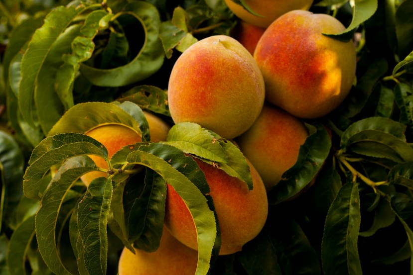Healthy-Fruits-with-vitamins-A-for-healthy-eyes 