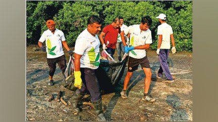 navi mumbai, nerul, save Kandalvan protest, Cricket umpires, association, activate, environment, marathi news,