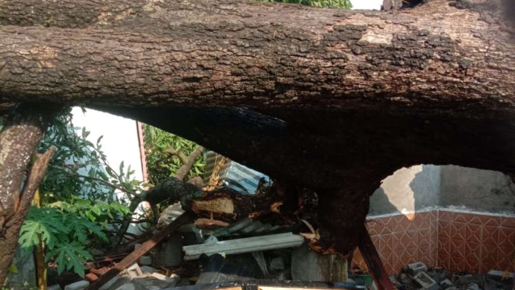 one dead in lightning strikes one dead in lightning strikes