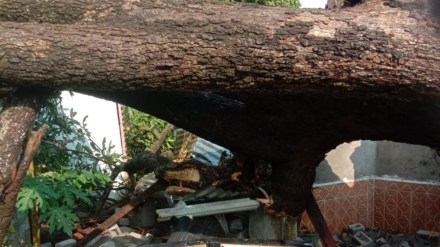 one dead in lightning strikes one dead in lightning strikes