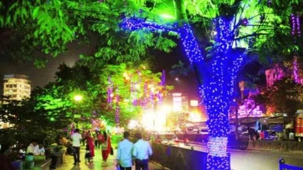 bmc, mumbai municipal corporation, Tree Lights, Citing Environmental Concerns, tree lights in mumbai, mumbai tree lights, bmc Orders Removal of Tree Lights, mumbai news, environment news, dangerous for insects, bmc news, marathi news,