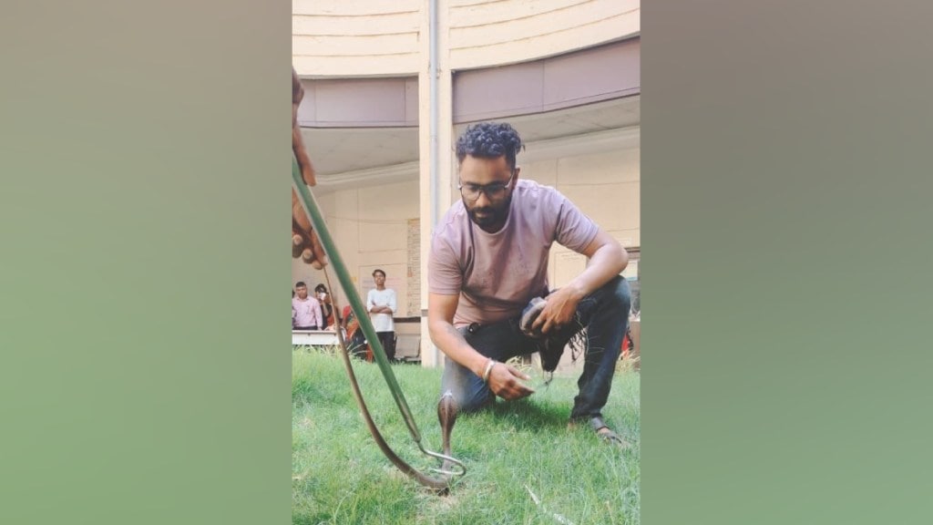 Nagpur, Snake at polling station, Snake Caught and Released, Snake in nagpur, snake in nagpur polling station, polling day, nagpur polling news, nagpur news, marathi news, Nagpur, Snake at polling station, Snake Caught and Released, Snake in nagpur, snake in nagpur polling station, polling day, nagpur polling news, nagpur news, marathi news,