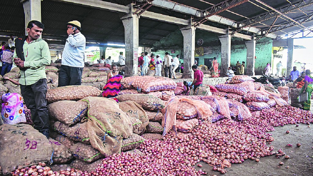 Central government confirms purchase of five lakh metric tonnes of onions from Maharashtra