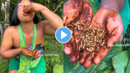 a young girl eating worms like farsan chiwada shocking video goes viral on social media a young girl eating worms like farsan chiwada shocking video goes viral on social media