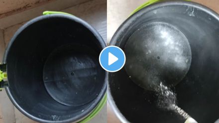 How to remove Bad Smell From Dustbin with the help of five rupees