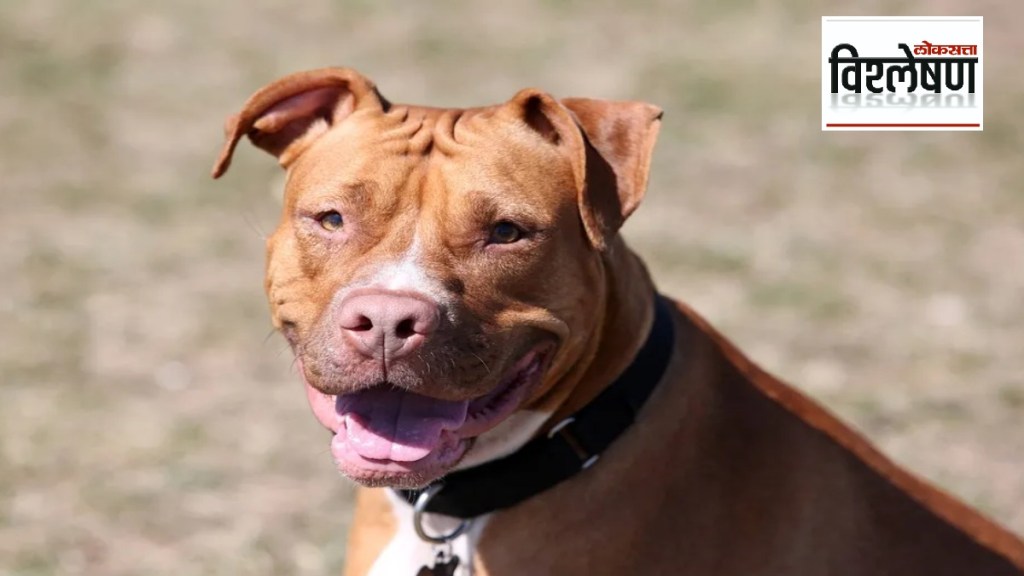 Why has the government banned 23 dangerous dogs in the country Why has the government banned 23 dangerous dogs in the country