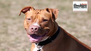 Why has the government banned 23 dangerous dogs in the country