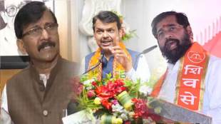 sanjay raut on fadanvis
