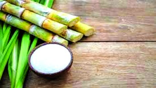 Maharashtra maintains monopoly in sugar production