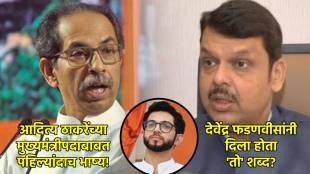 uddhav thackeray devendra fadnavis (8)