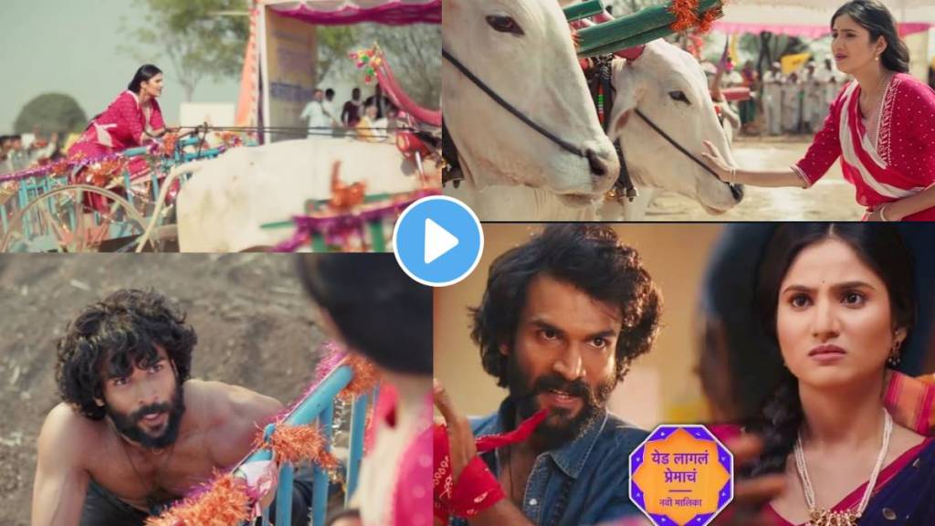 star pravah new serial yed lagla premach star pravah new serial yed lagla premach