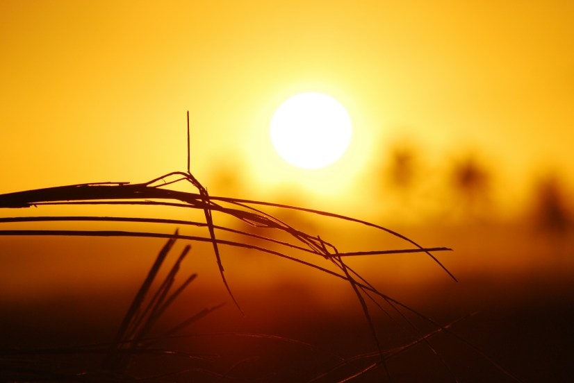 Summer-2024-sun-stroke-sun-tan
