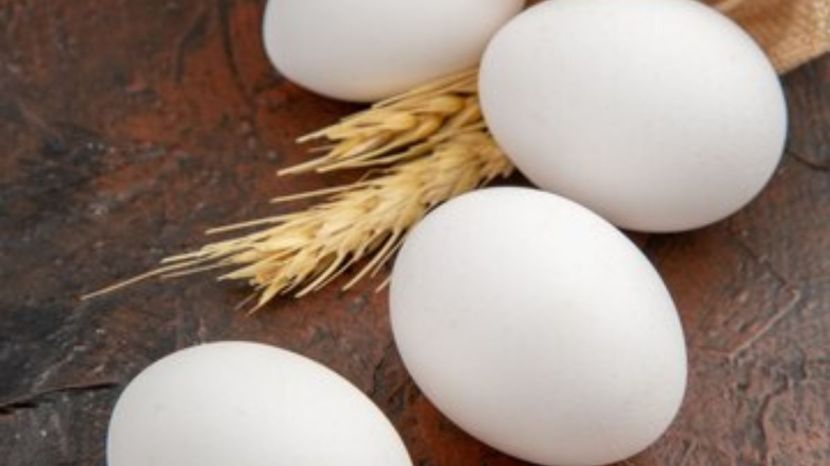 benefits of eating eggs in summer