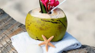 Fresh vs pre-shaved coconut water