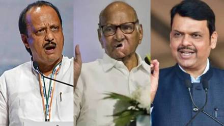 What Devendra Fadnavis Said About Sharad Pawar?
