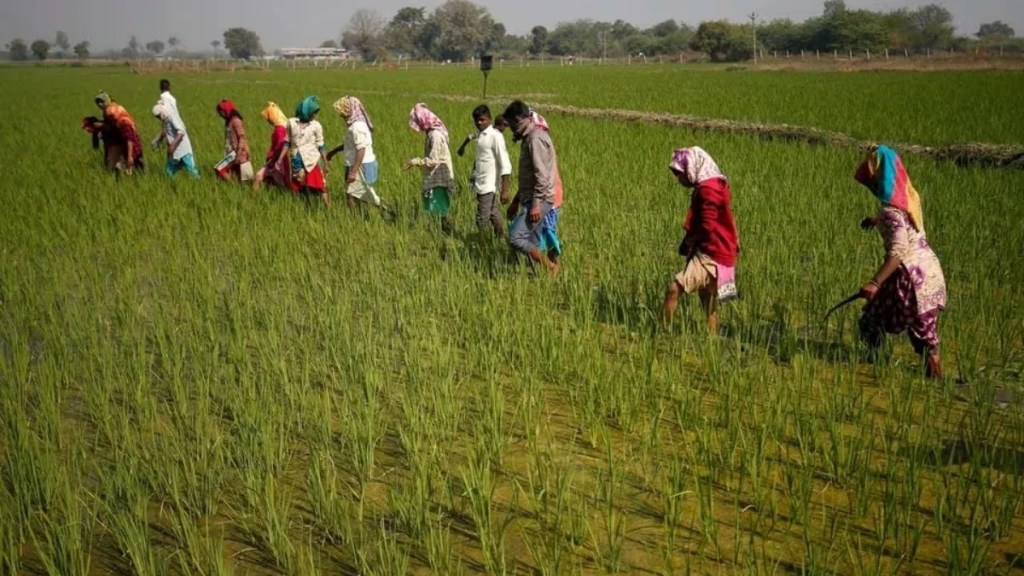 article about farmers expect the next phase of green revolution
