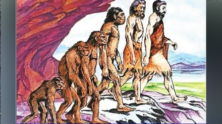 UPSC Preparation History of Ancient India career news