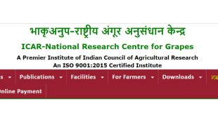 NRCG Pune recruitment 2024