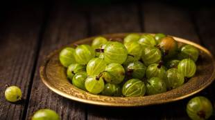 Amla Health Benefits In Summer
