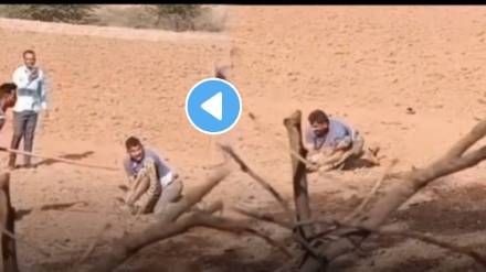 Leopard attack on boy shocking video boy fight back with Leopard