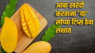 how to identify sweet mango without cutting 5 tricks to identify ripe and sweet mango