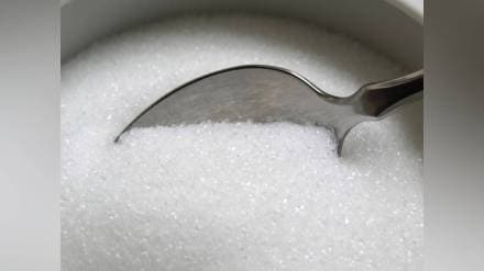 sugar, produced, harvest season,