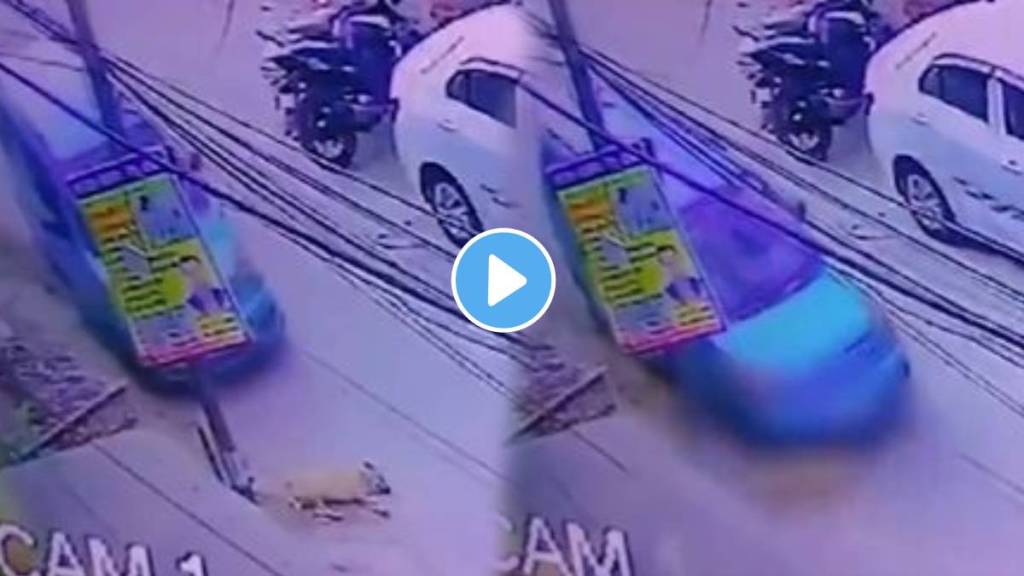 The car was taken over the body of a sleeping dog