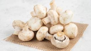 Fulfill vitamin D requirements just by eating mushrooms is converted to vitamin D2 upon exposure UV light from the sun