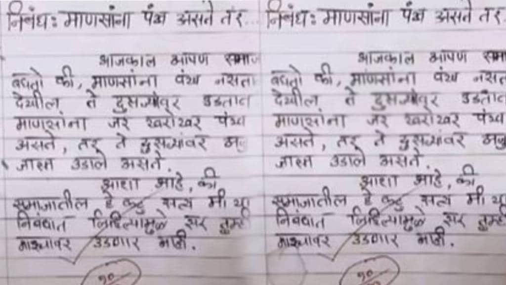 Student's Essay on If Humans Had Wings 10 out of 10 marks from sir