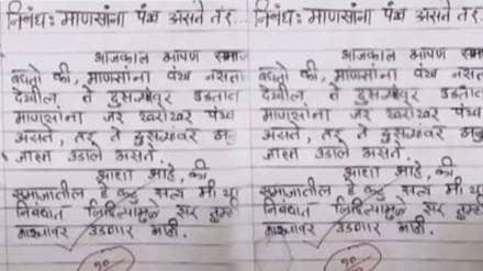 Student's Essay on If Humans Had Wings 10 out of 10 marks from sir