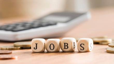 Tata Institute of Social Sciences Mumbai Bharti 2024 For DH Supervisor vacancies are available job location is Mumbai