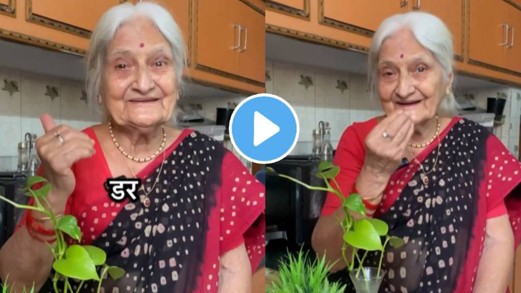 content creator Vijay Nischal Dadi Making aloo tikki burger With Her Poet Leaves Internet Impressed Watch Video Ones content creator Vijay Nischal Dadi Making aloo tikki burger With Her Poet Leaves Internet Impressed Watch Video Ones