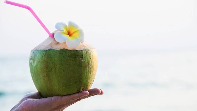 Can diabetics consume Or Is it beneficial for pregnant women Read Various Health benefits of coconut water