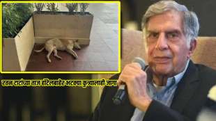 a dog sleeping at taj hotel share ratan tata love animal ratan tatas strict instructions dog sleeps peacefully inside taj mahal hotel