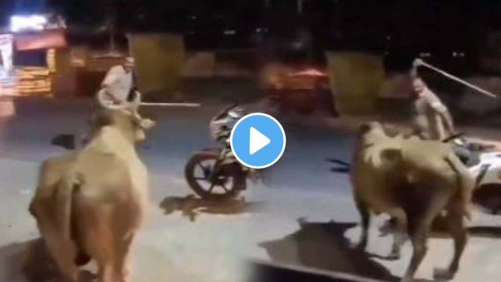 beating of bull by police officer