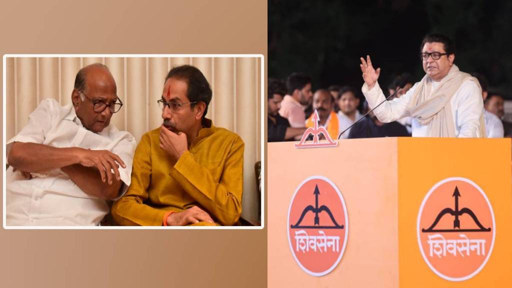 What Raj Thackeray Said? What Raj Thackeray Said?