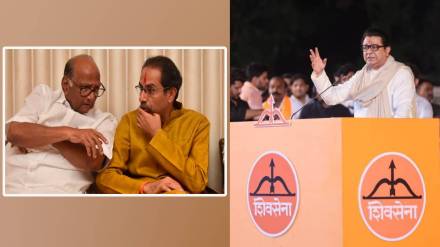 What Raj Thackeray Said? What Raj Thackeray Said?