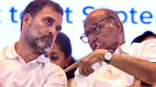 What Sharad Pawar Said About Rahul Gandhi?