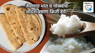 How Much Rice & Roti You Should Eat In a Day