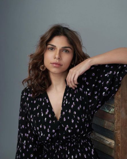 Sharmin Segal husband aman mehta net worth 